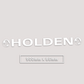 HOLDEN WINDOW BANNER STICKER