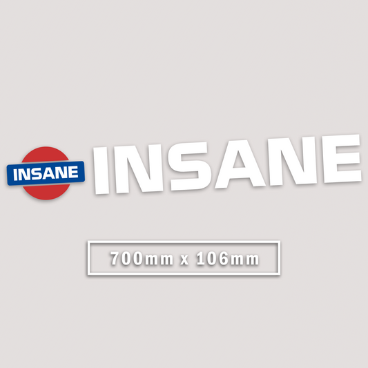 INSANE NISSAN WINDOW BANNER STICKER