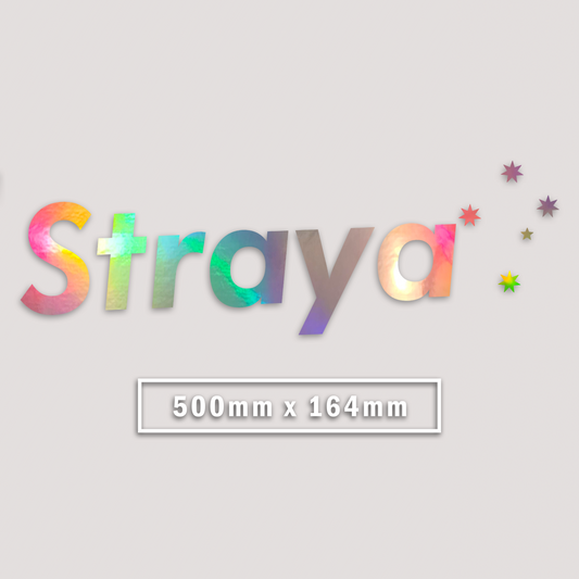 HOLOGRAPHIC STRAYA WINDOW BANNER STICKER